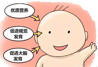 母乳分析仪检测母乳的意义