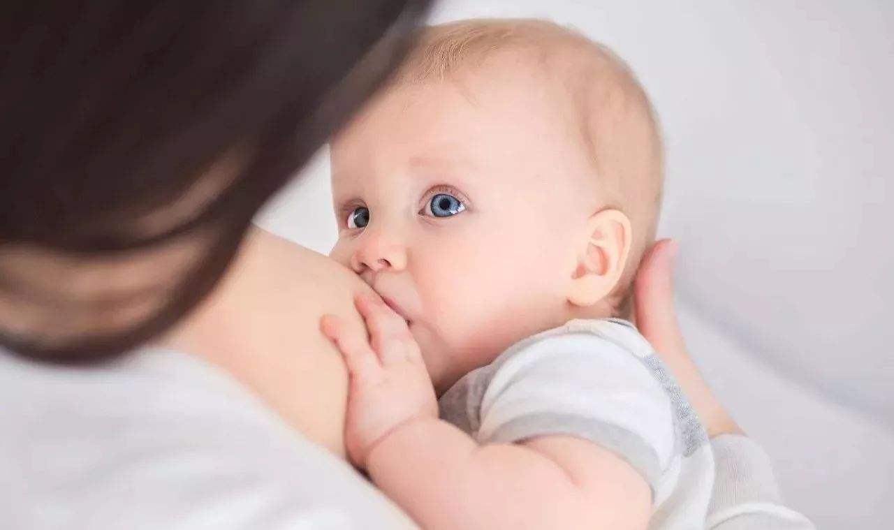 母乳检测仪-乳汁的分泌原理