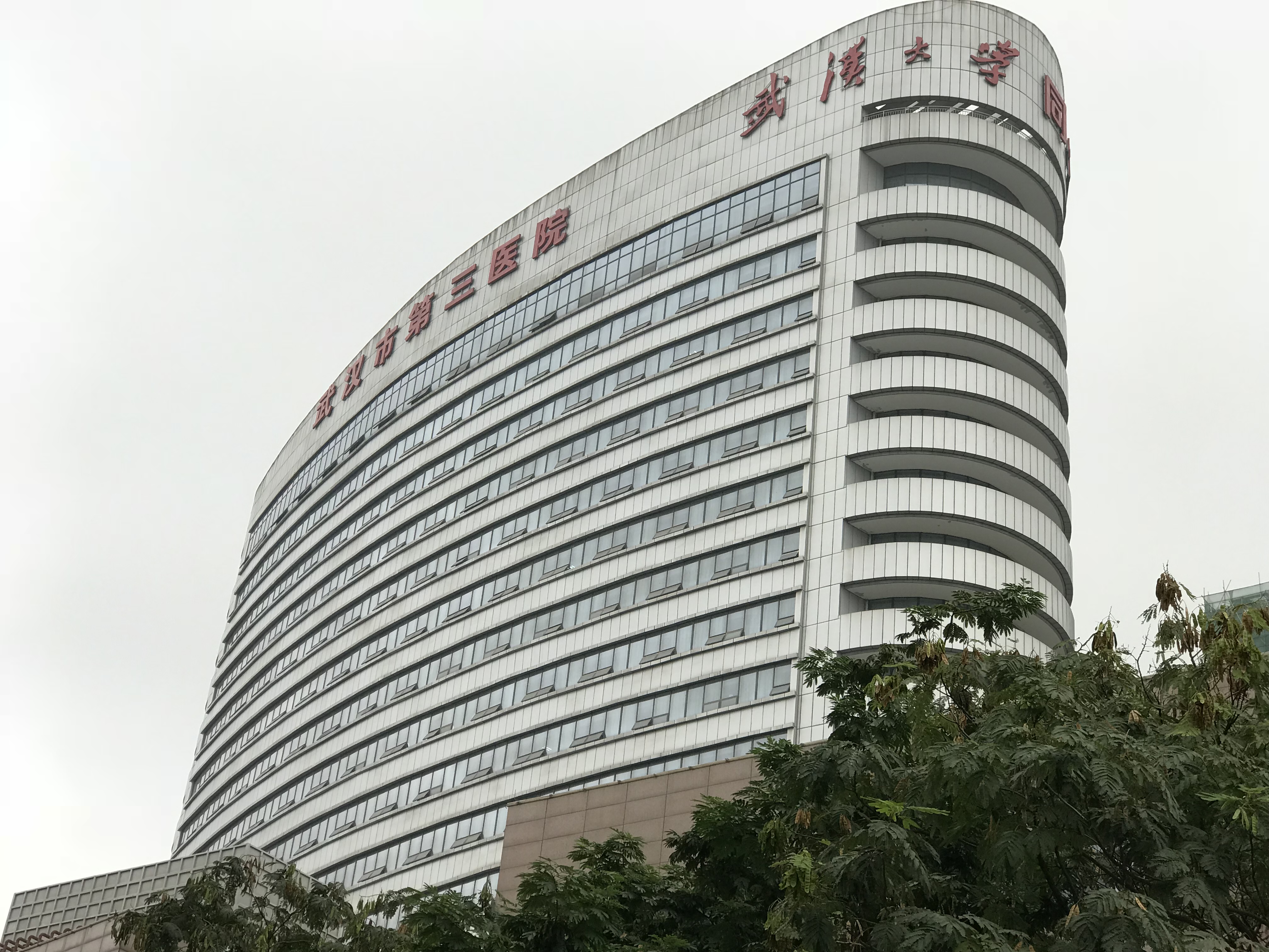 山东国康母乳分析仪合作单位武汉市第三医院