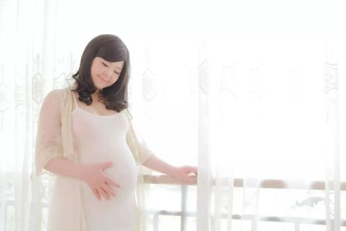 乳汁分析仪厂家孕妈怀孕时需要注意的事项