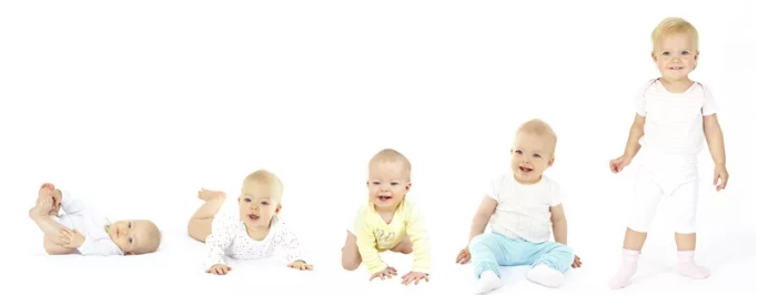 超声母乳营养成分检测仪 【5.19日快讯】超声母乳营养成分检测仪检测结果不靠谱,你真的选对仪器了吗